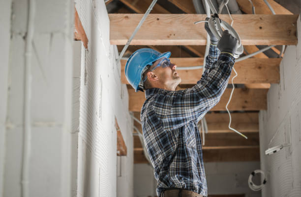 Best Electric Panel Repair  in Pahala, HI